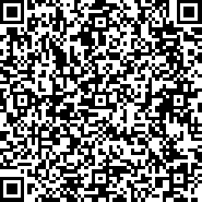 Ipad Mini桌面壁纸 Zol桌面壁纸
